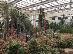 -石家庄市植物园