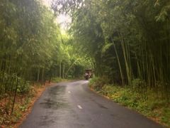 -杭州双溪漂流景区
