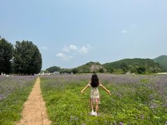 -紫海香堤香草艺术庄园