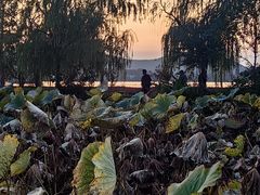 -云龙湖旅游景区