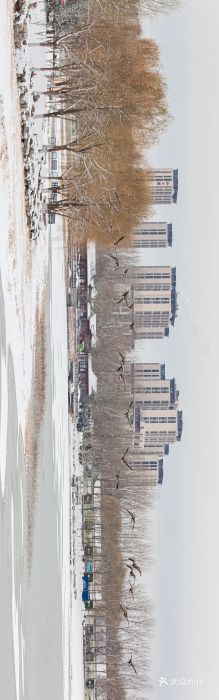 南海子公园图片