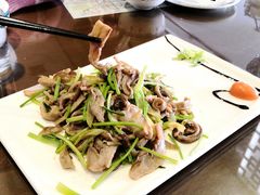 芫爆肚丝-致美楼(前门店)