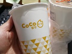 -CoCo都可(漫乐城店)