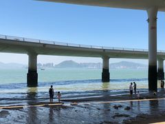 -演武大桥观景平台