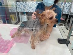 -全心全意动物诊疗中心医院(北苑店)