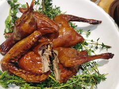 龙井茶香妙龄乳鸽-蔡澜点心·粤菜(月星环球港店)