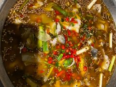 -麻小度青花椒鱼(安德总店)