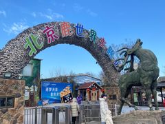 -北京鹿世界主题园