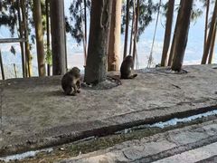 -太阳湾风景区