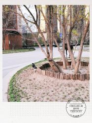 -大望京儿童游乐场