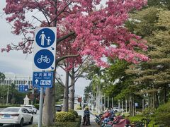 -厦门高崎国际机场-T3航站楼