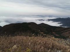 -东白山