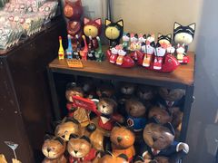 -猫咪博物馆(顶澳仔猫街店)