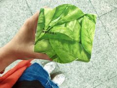 -乐纯(苹果社区店)