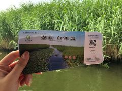 -白洋淀景区
