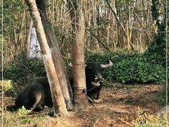 -茅山东方盐湖城景区