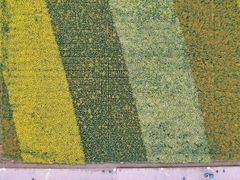 -中国天府农业博览园