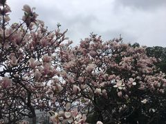 -上海佘山国家森林公园西佘山园