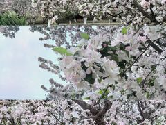 -元大都城垣遗址公园