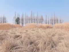 -良渚古城遗址公园