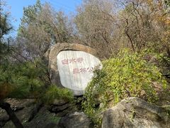-白水寺森林公园