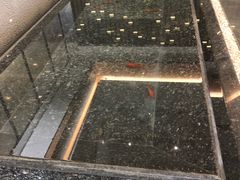 -长嘉·河图火锅(长嘉汇江景旗舰店)