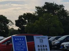 -上海佘山国家森林公园东门地面停车场