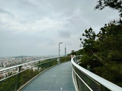 -仙岳公园
