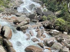 -海南热带雨林国家公园吊罗山景区