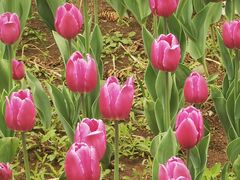 -长春公园(普阳街道)