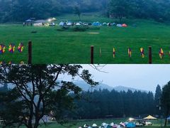 -武陵山森林公园