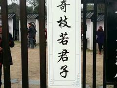 -香雪海