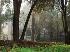 -山东大学(趵突泉校区)
