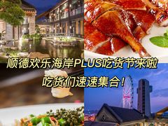 -顺德欢乐海岸PLUS