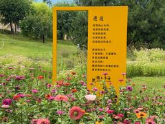 -观澜小洱海