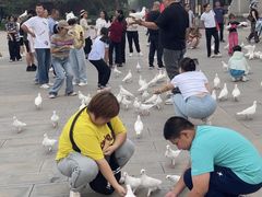 -天津妈祖文化园