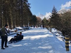 -硗碛藏寨·神木垒景区