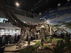 -自贡恐龙博物馆