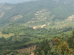 -广州市石门国家森林公园