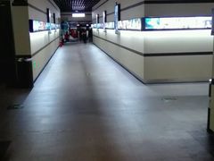 -华美国际影城(旧宫永辉店)