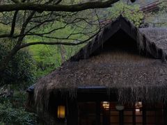 -中国茶叶博物馆(双峰馆区)