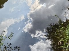 -少华山国家森林公园