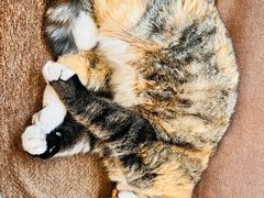 -雕刻时光·咖啡·酒吧·西餐(香山店)