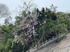 -三国赤壁古战场