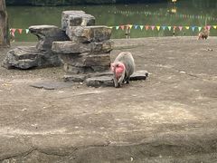-宁波野生动物园