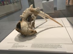 -加拿大国家美术馆