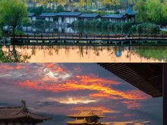 -千年银杏谷文化旅游区