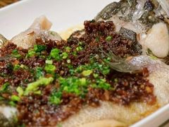 -南麓·浙里(外滩店)