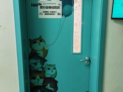 -北京观赏动物医院·24小时大型综合·猫专科·异宠专科