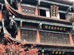 -稻香村(文殊院旗舰店)